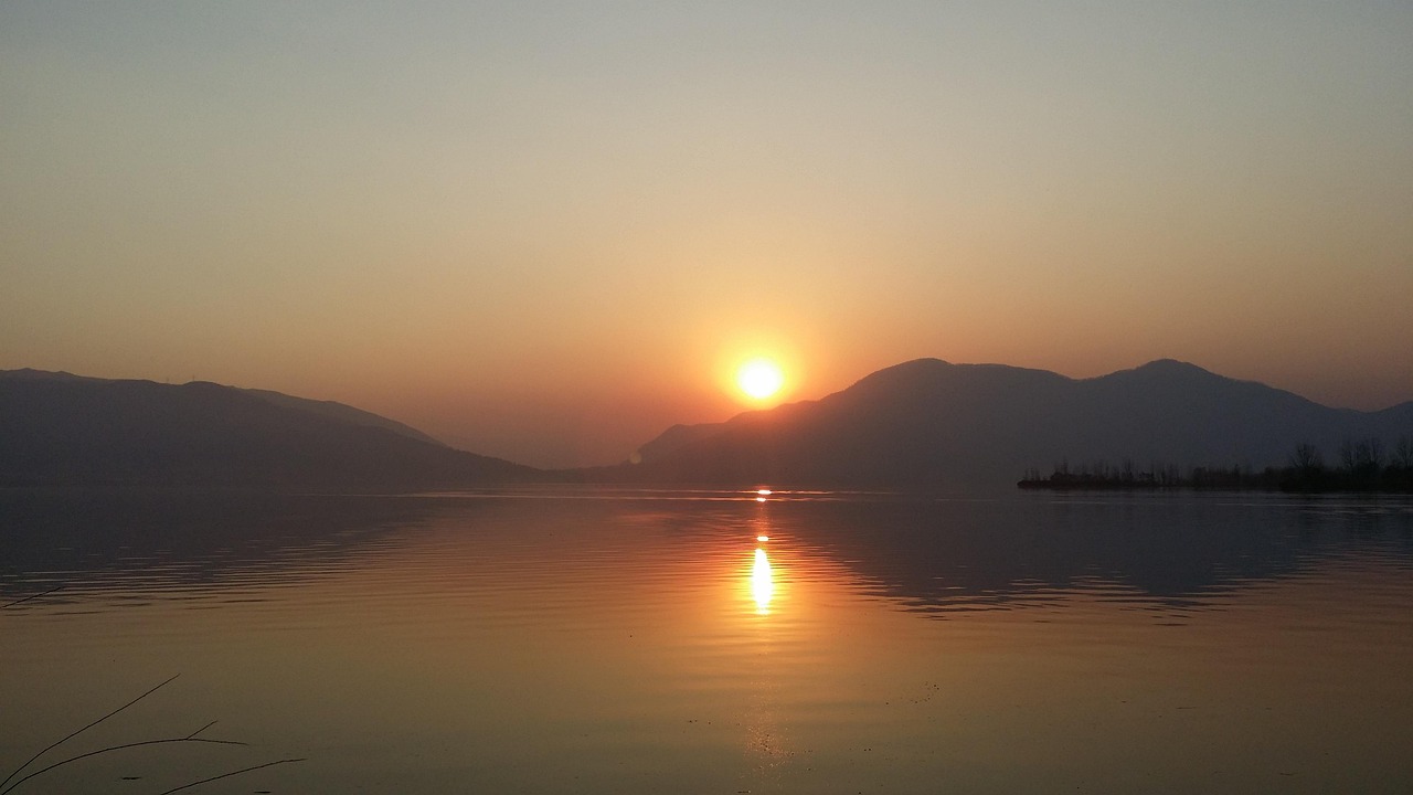 동충하초