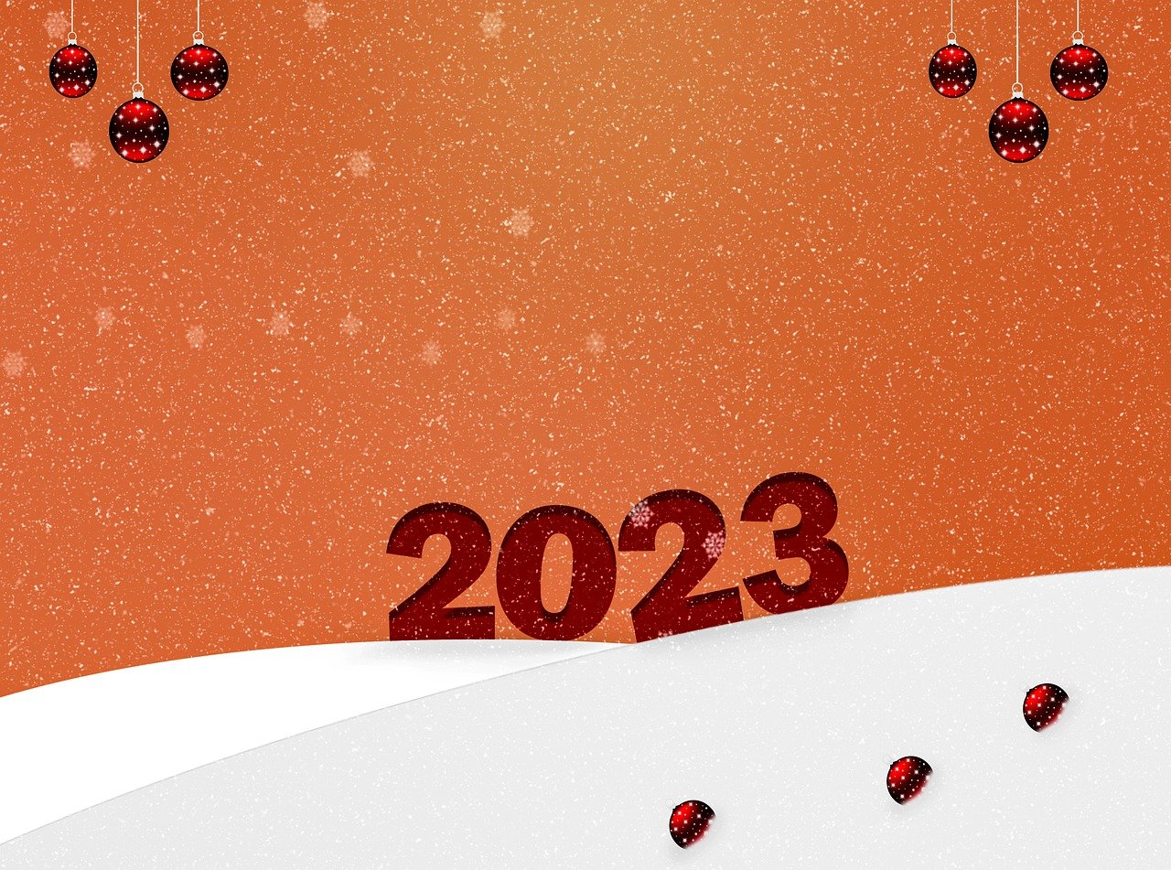 2025년 현제 넘버시세