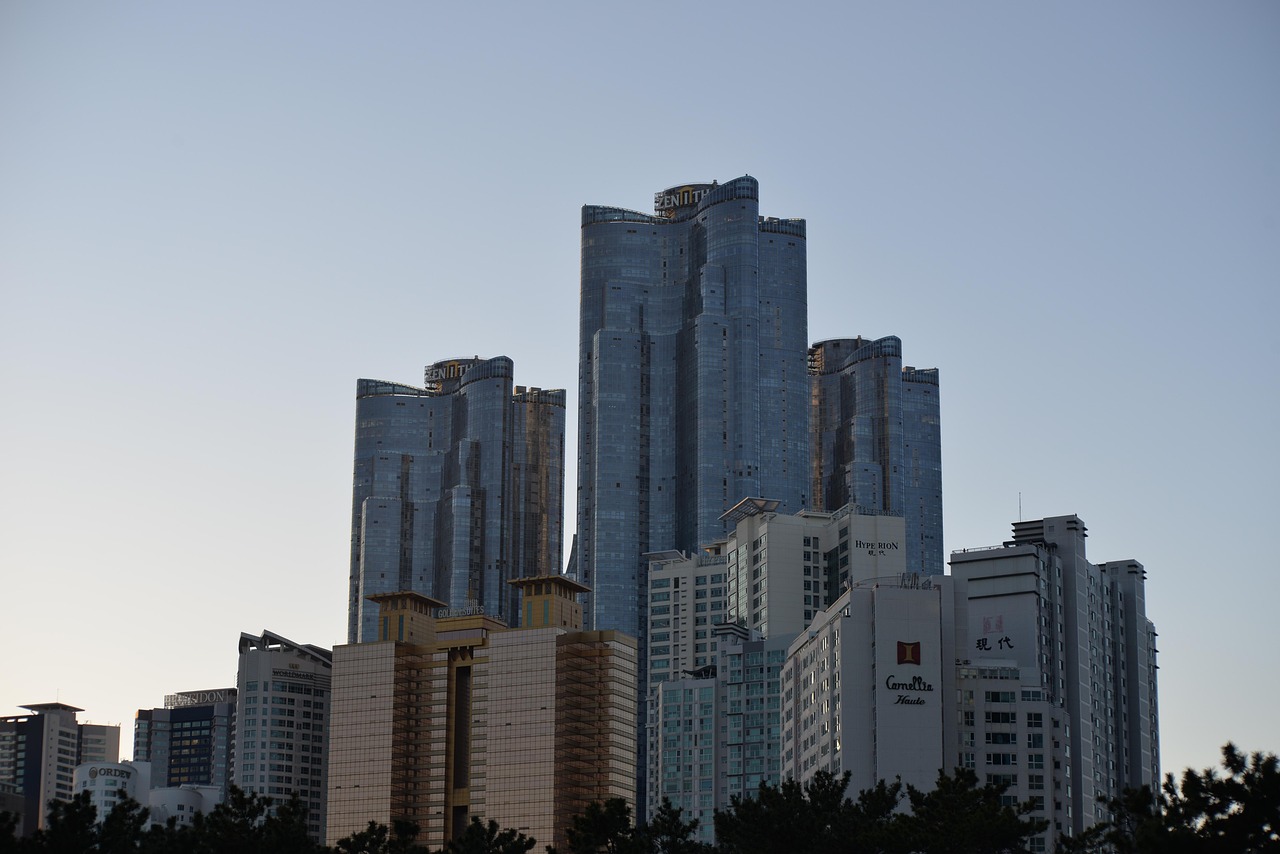 6월달이삿날 부산 포장이사