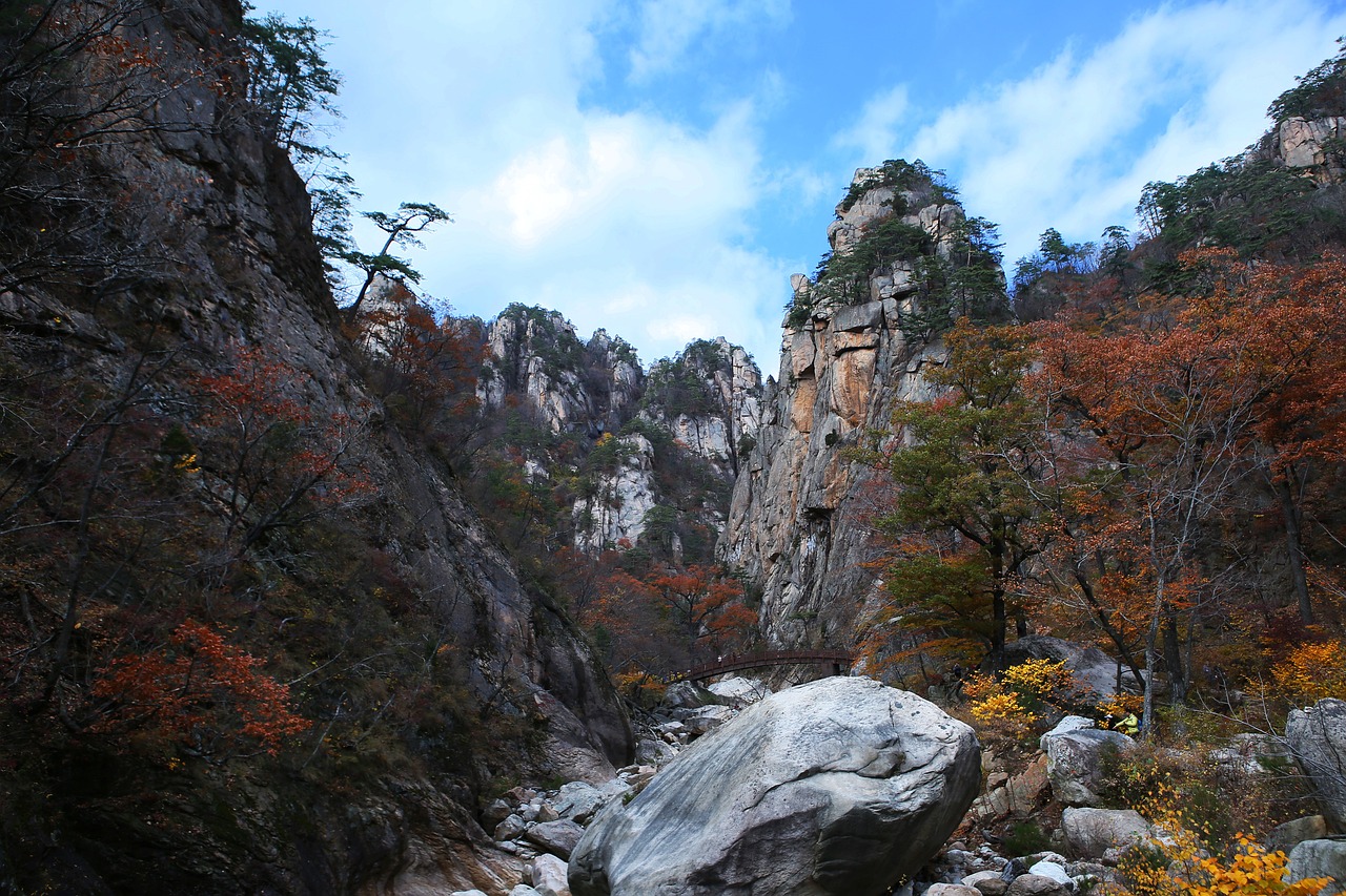 강원도 특산물
