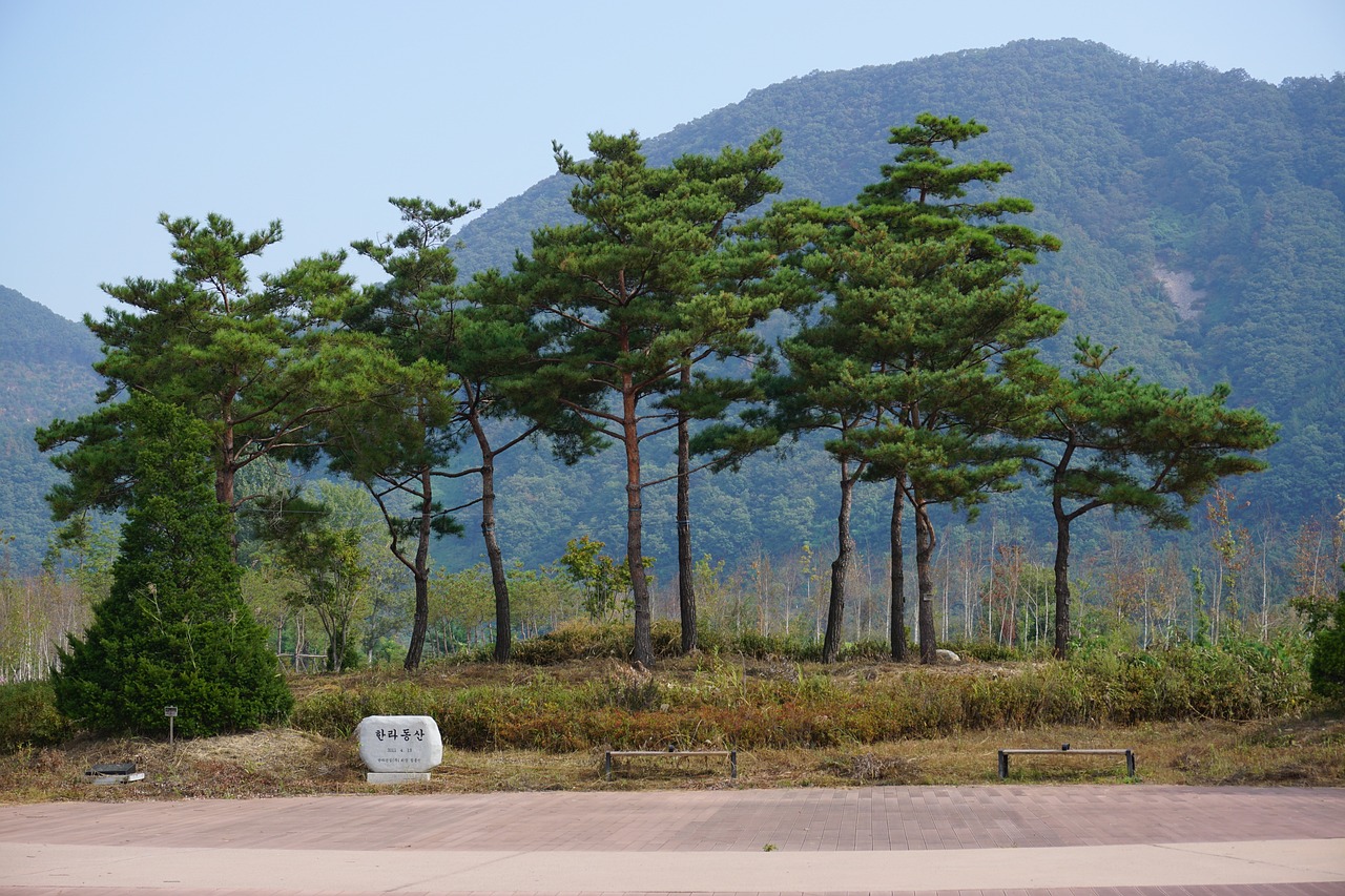 강남이삿짐센터