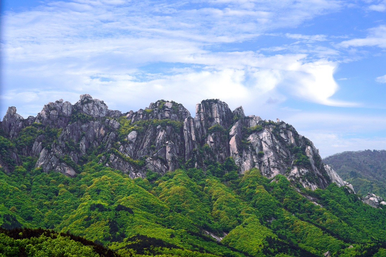 울산도비