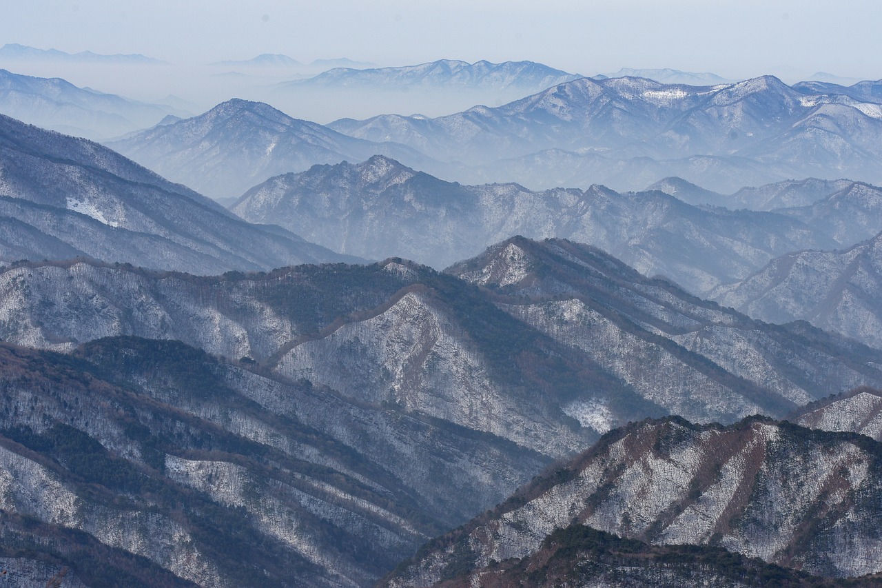 숙변