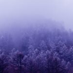 부산시 이삿짐 센터 선택 시 알아보자