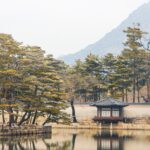 서울 지방흡입 병원 선택 시 알아보자